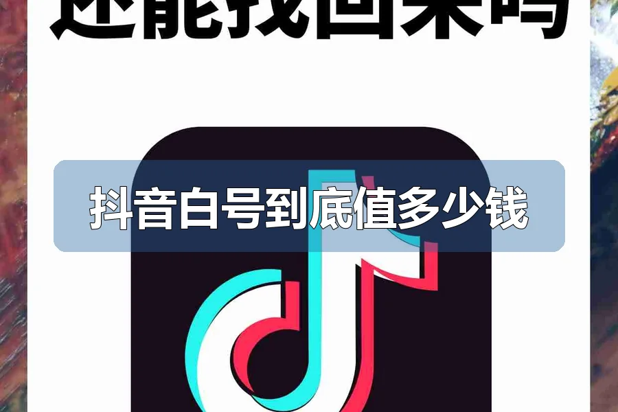 抖音白号到底值多少钱